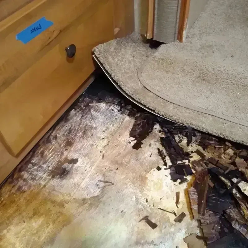 Wood Floor Water Damage in Auburn, MI